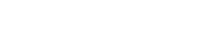 Transport for Wales is owned by the Welsh Government